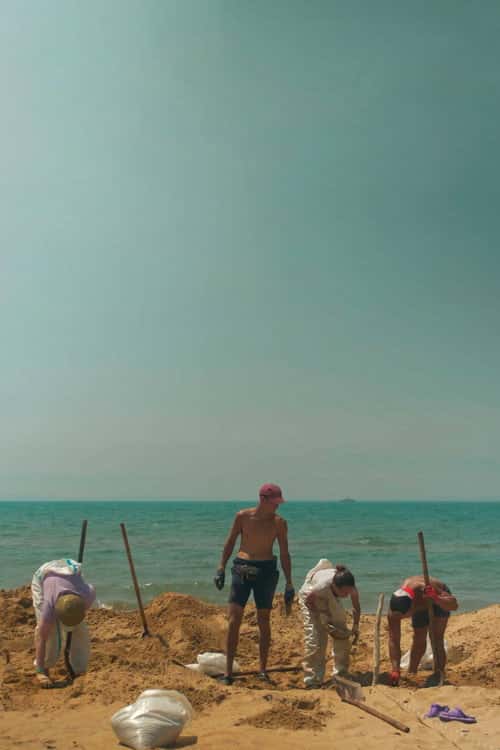 The Last Camp poster