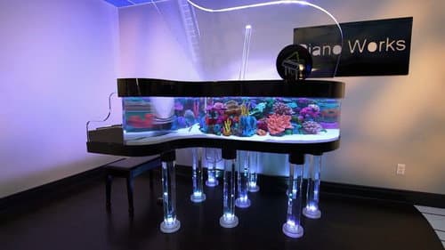 The Amazing Piano Tank still