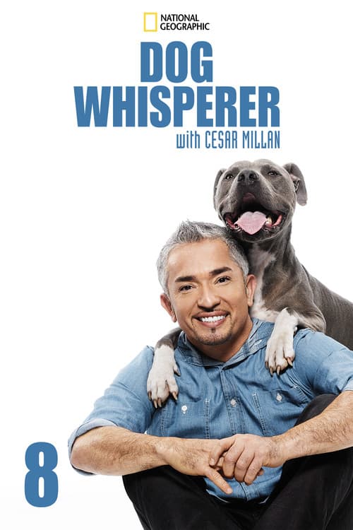 Season 8 poster