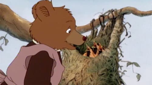Mother Bear's Robin still