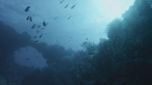 Underwater Alien Bases still