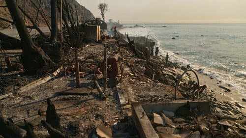 The Fires; The FBI Director; The Gaza Policy still