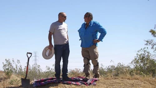 Desert Gold Boom still