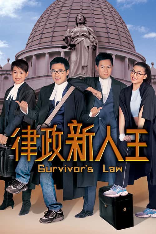 Survivor's Law poster